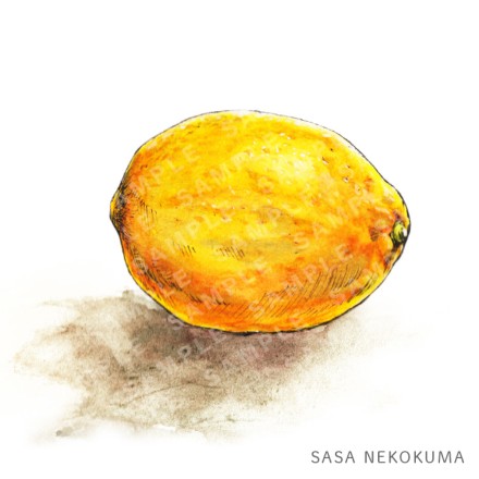 レモンの水彩イラスト