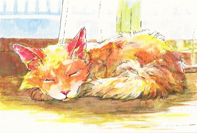 眠る猫の水彩イラスト